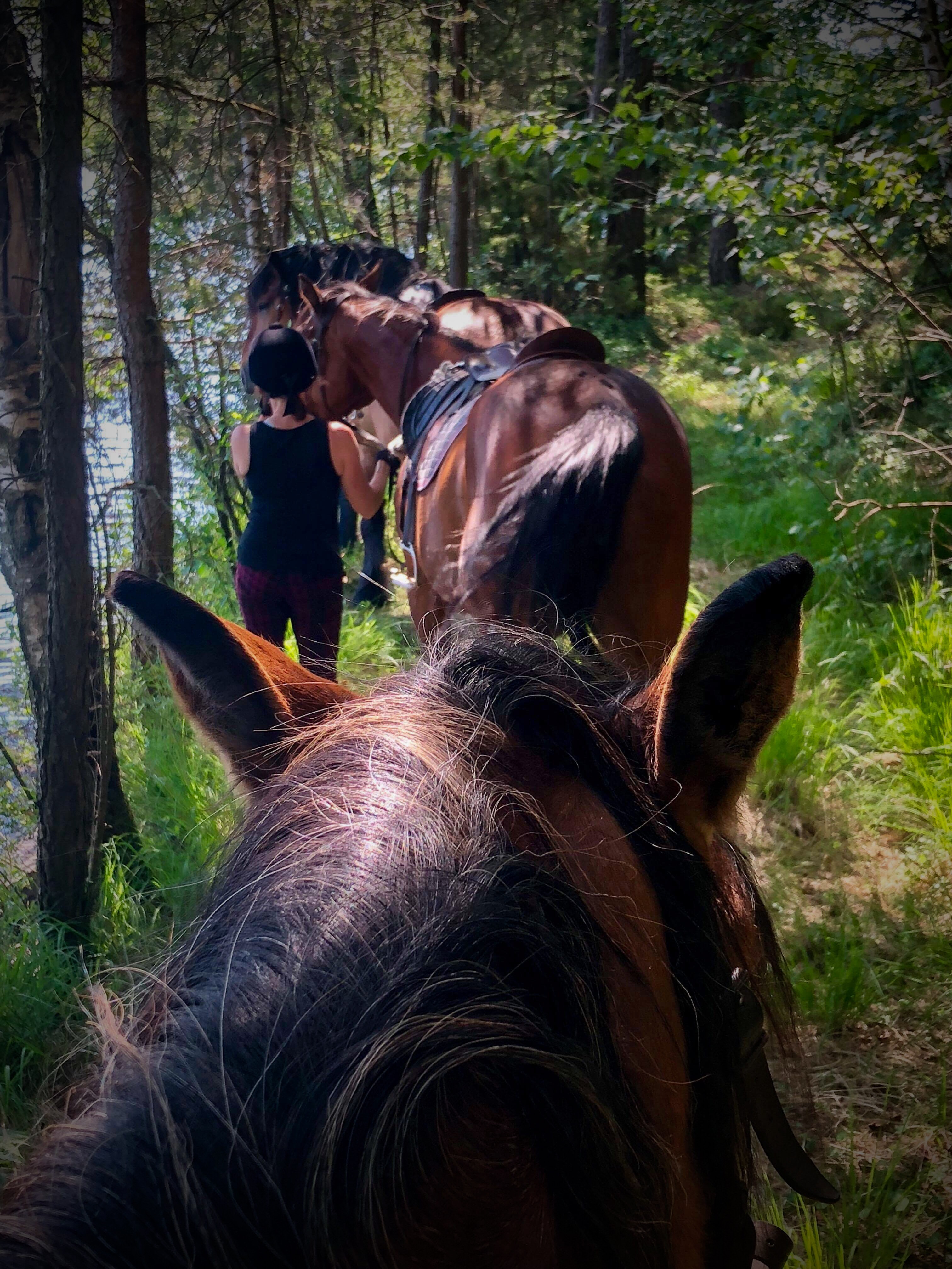 24F160B9-E44D-4989-87C3-649CBE157E7C