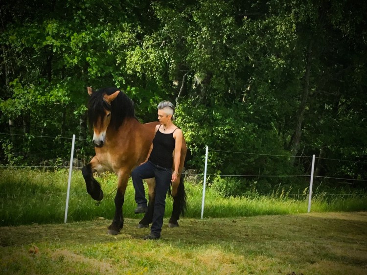 4CFB0442-0872-4E32-AA90-6C048E535BDF