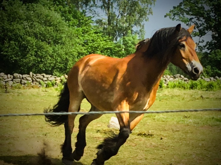 7D147096-4FA9-4D92-A3E9-9DA7F2EADF84