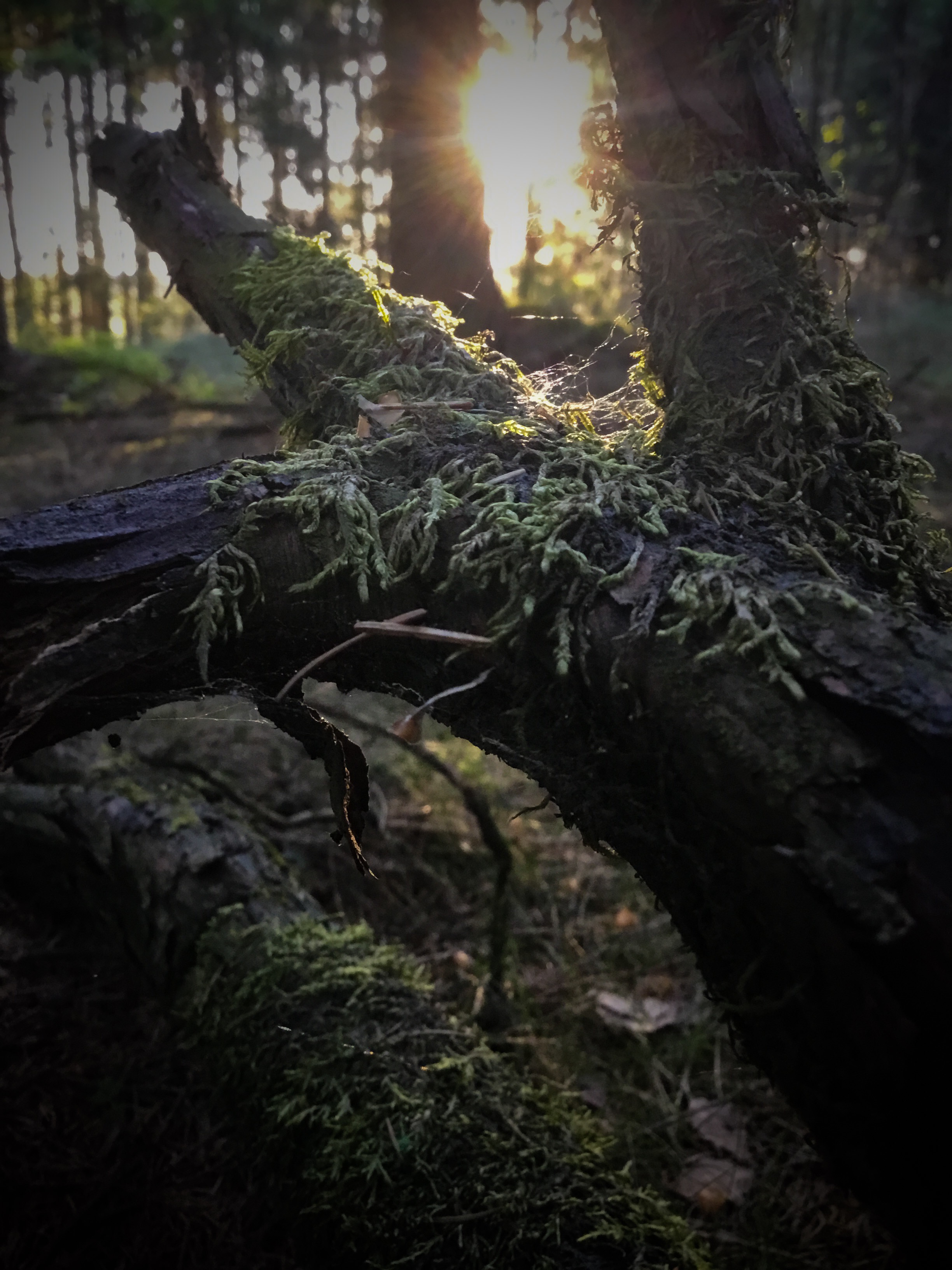 D85A854F-78FE-450E-A7D1-AEE2E0629FBF